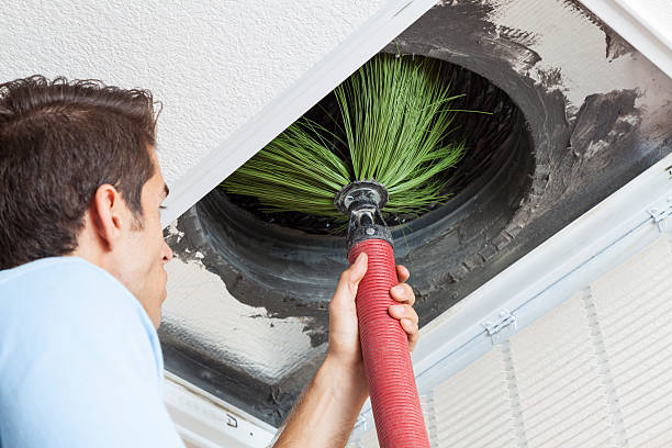 Best HVAC System Cleaning  in Clinton, MI